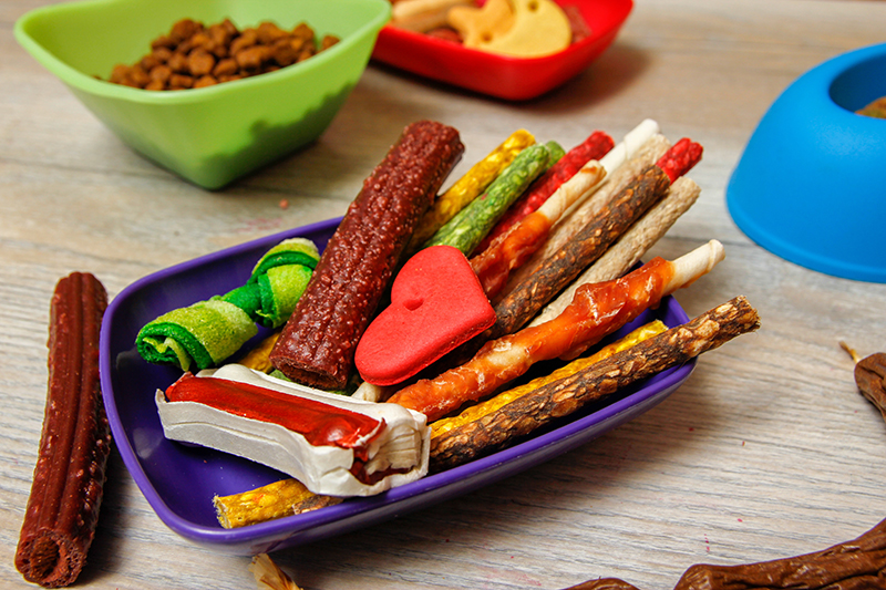 Navigating Canine Nutrition: A Guide to Choosing the Right Dog Food