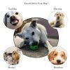 Dog Toy Interactive Rubber Balls Pet Dog Puppy Chew Toys Ball Teeth Chew Toys Tooth Cleaning Food Balls