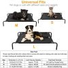 Elevated Bed Dogs Cot Cool Bed L Size