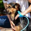Portable Dog Shower. Easy Install. Supplies Water Spray for Dog Bath with Brush