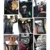 Dog Car Net Petition