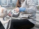Petkit Go Bluetooth Distance Activity Monitoring And Handle Notification Vibrating Smart Dog Leash