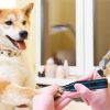 Professional Dog Cordless Nail Grinder Trimmer 2 Speeds Quiet USB Rechargeable