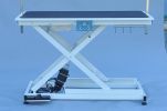 Super Deluxe electric pet grooming table, 110V/220V professional, height adjust from 8 up to 36inch, support 150lbs