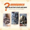 Pets moisturizing paw cream for dogs. Universal deep moisturizing soles of the feet paws cream