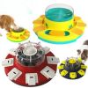 Smart Dog Bowl Rotating Food Dispenser Dog Toy