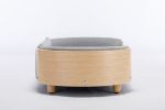 Light Grey Scandinavian style Elevated Dog Bed