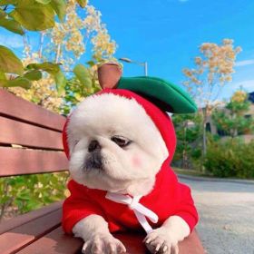 Small Dogs Hoodies Winter Warm Fleece (Option: 1 Style-XS)