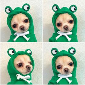 Small Dogs Hoodies Winter Warm Fleece (Option: 5 Style-XS)