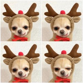 Small Dogs Hoodies Winter Warm Fleece (Option: 6 Style-XS)