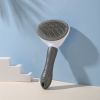 Pet Comb Stainless Steel Needle Dog Hair Removal Floating Hair Cleaning Beauty Skin Care Pet Cleaning Brush