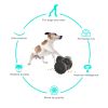 PawPartner Dog Tumbler Interactive Toys Increases Pet IQ Slow FeederTraining Food Dispenser