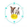 Dog Puzzle Toys Slow Feeder Interactive Increase Puppy IQ Food Dispenser Slowly Eating Non Slip Dog Training Game