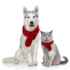 Dog Christmas Scarf