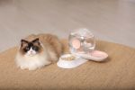 Pet Life 'Auto-Myst' Snail Shaped 2-in-1 Automated Gravity Filtered Water Dispenser Food Bowl