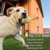Funny Dog Squeaky Toys For Small Middle Dogs Bite Resistant Puppy Dogs Toys Pets Rubber Peanut Clean Tooth Chew Toy
