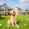 Electric Dog Fence System Pet Tone Shock Boundary Containment For Small Medium Large Dog