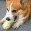 Funny Dog Squeaky Toys For Small Middle Dogs Bite Resistant Puppy Dogs Toys Pets Rubber Peanut Clean Tooth Chew Toy