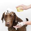 Dog Bath Massage Gloves Brush Soft Safety Silicone Pet Accessories for Dogs Tools Mascotas Products