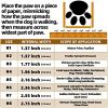 Dog Boots Breathable for Small Medium Large Dogs; Waterproof Anti-Slip Paw Protector for Hot Pavement Winter Snow Hiking