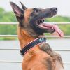 Dog collar; reflective nylon collar; medium and large dog collar