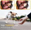Funny Dog Squeaky Toys For Small Middle Dogs Bite Resistant Puppy Dogs Toys Pets Rubber Peanut Clean Tooth Chew Toy
