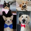 Dogs Accessories Pet Kawaii Dog Necklace Adjustable Strap for Collar Pet Dog Bow Tie Puppy Bow Ties Dog Pet Supplies